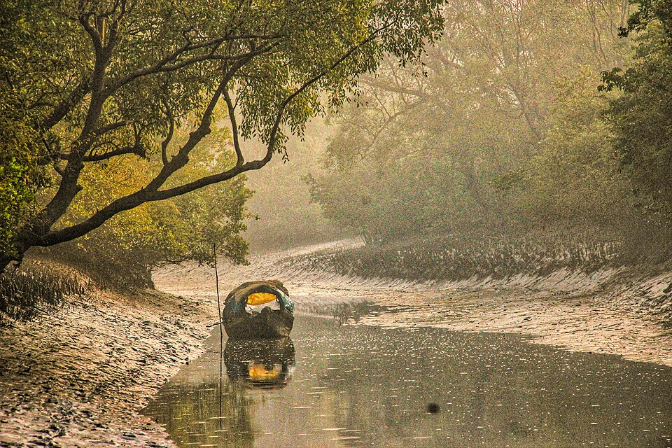 Fatrar Char mangrove island, Kuakata, Bangladesh