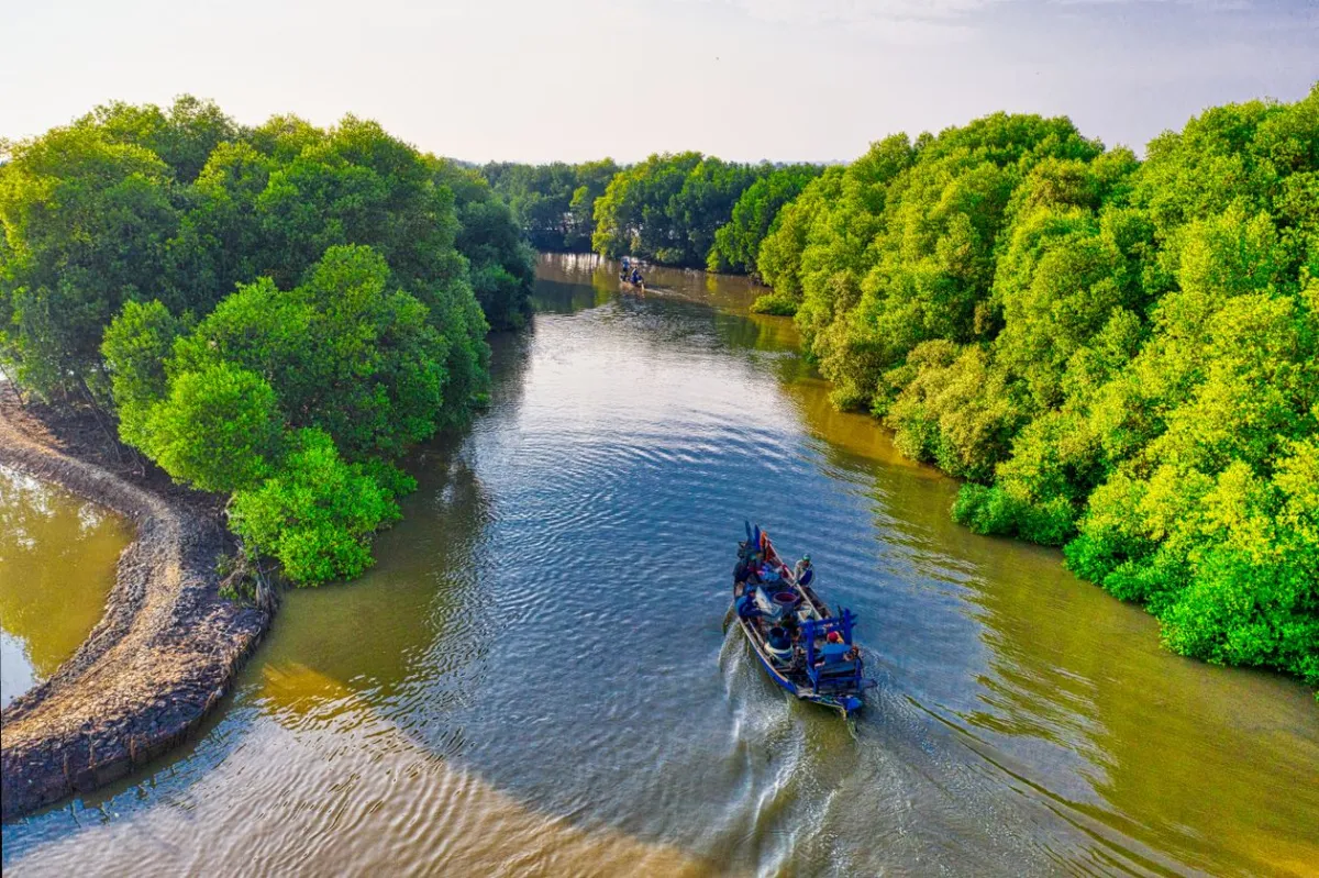 Aerial view of a boat navigating the tidal channels of the Sundarbans